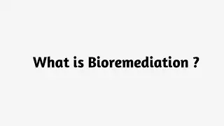 What is Bioremediation ?
