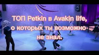 Petkin в Avakin Life о которых ты, возможно не знал(а)