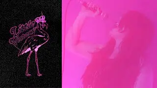 Little Victory - Pink Flamingo (Official Music Video)