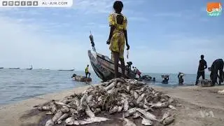 الهدف 14 للتنمية المستدامة كيف يحمي المحيطات؟