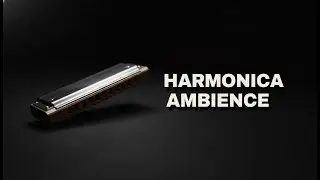 Harmonica Ambience for Calm Focus & Gentle Reflect