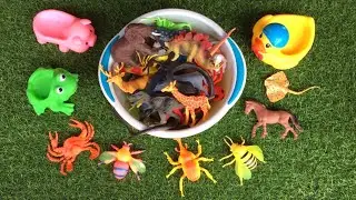 Learn Cute Animals | Shark, Kangaroo, Penguin, Giraffe, Duck, Buffalo, Fish