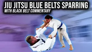 Jiu Jitsu Blue Belts Rolling with Black Belt Commentary