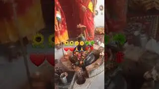 Shiv Guru ke bagiya mein teen rang ke phool aawa 🙏🙏🌹🌹