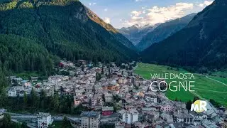 COGNE