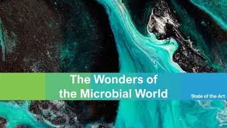 The Wonders of the Microbial World | State of the Art | Environmental Science