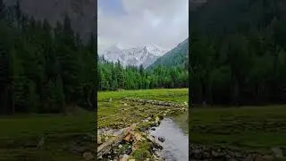 Fairy Meadows