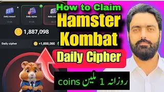 Hamster Combat Daily Cipher | Daily Cipher Hamster Kombat