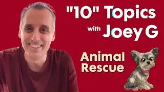 Animal Rescue | 