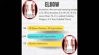 Elbow's Capsular Pattern, Resting Position & Closed Packed Position|A Therapist Guide