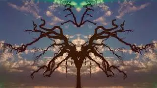Polkey - Looking Forward to the Past [Full Album]