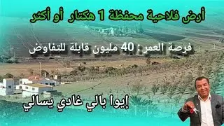 أرض فلاحية محفظة رخيصة 40 مليون بضواحي مدينة بنسليمان.