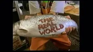 The Real World Seattle Intro