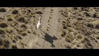 ZAHOR&Iacute; by Mar&iacute; Alessandrini (Official Trailer)