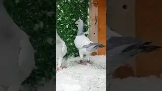 #filocu