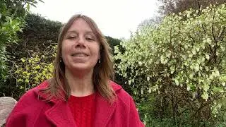 Spring Equinox and New Beginnings