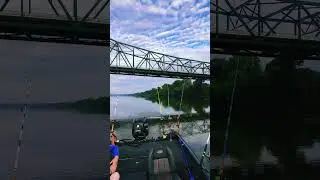 Are They Early Risers? #fishing #catfishing #spawn  #itstough