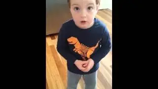 4 year old explains how it really happened