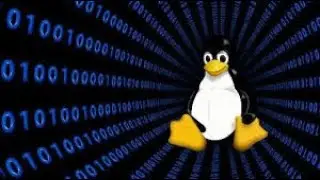 Kali linux on phone testing in winter