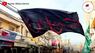 Highlights Of Juloos E Arbaeen Delhi 2023 || Arbaeen Walk 2023
