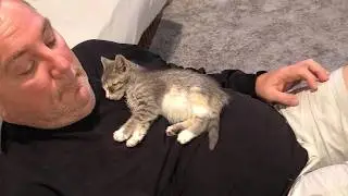 Муж не верил в кошек &mdash; теперь он не может без неё жить.