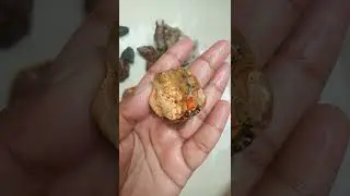❤️Beautiful🌹Red Geode Agate Stone ❤️💯☑️#shorts #stone #agate #earth #gems #amazing #gems