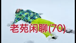 老苑闲聊70，周五史诗级的市场震荡，聊聊美国生活，回答大家问题