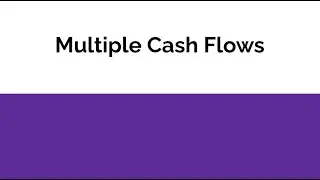 Multiple Cash Flows