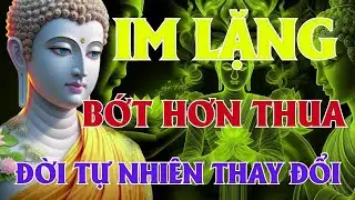 Càng ít HƠN THUA – Cuộc đời càng BÌNH AN & HẠNH PHÚC hơn   Lời Phật Dạy