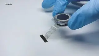 Что такое Neuralink? Технологический стартап Илона Маска имплантировал мозговой чип первому пациенту.