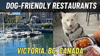 The Top 16 Dog Friendly Restaurants in Victoria, BC, Canada 🇨🇦