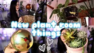 New plant room things! plants, pots, terrariums & trinkets!