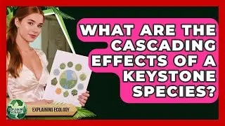 What Are The Cascading Effects Of A Keystone Species? - Explaining Ecology