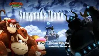 Donkey Kong Country Tropical Freeze - Snowmads' Island Theme (Cover)