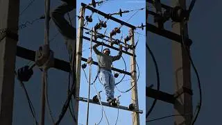 High Volatage Power Line Repairing || Lineman Universe || #electrical #lineman #ytshorts