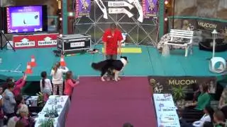 Best European Trickdog Falco mit Luki