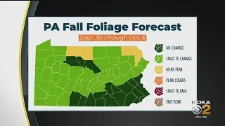 Pa. Releases First Fall Foliage Forecast