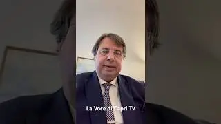 Alberi caduti in Via Moneta tra ordinanze e senso civico