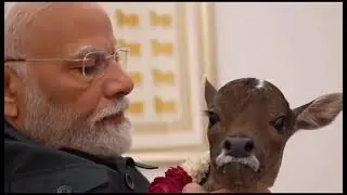 modi garu 🙏🙏🙏🙏🎄🎄💅💅