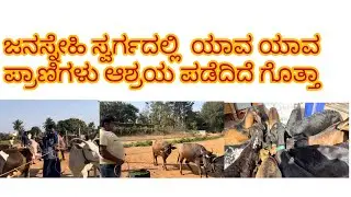 ಪೂರ್ತಿ ವಿಡಿಯೋ ನೋಡಿ 🙏 subba subbi YouTube channel na subscribe Madi 🙏😍