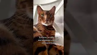 Лео даёт только лучшие советы 😂