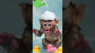 Baby Monkey Mousse Splash! 🐒💦 Funny 10 Sec Chaos.