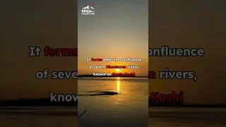 Sinja - Koshi