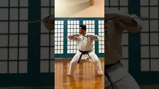 Sai Training. #shokenschoolofkarate #martialarts #kobudo #sai #shorts