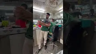 Уроки грэплинга от бенгальского барбера. Grappling lessons from a barber from Bangladesh