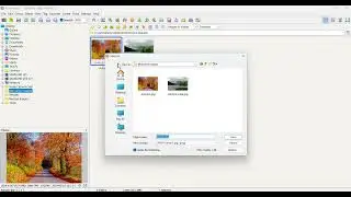 Resize a Photo Using Faststone Image Viewer and Keep the EXIF Data