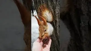 Сесть, или не сесть? 🤔 To sit or not to sit
