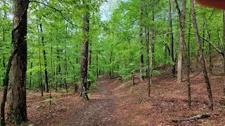 Hiking Goat Rock Trail Hot Springs Ark