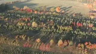 Welcome to Goose Creek Tree Farm