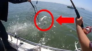 Almost lost our BIGGEST halibut of the season (Must Watch!!!)